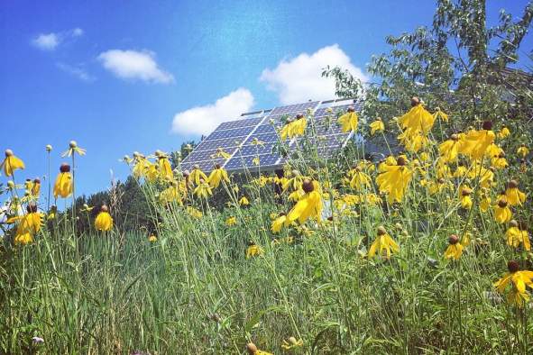 MREA Webinar Series - Spring Cleaning Sustainably