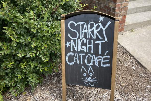 LGBTQ+ ALLY Craft Night