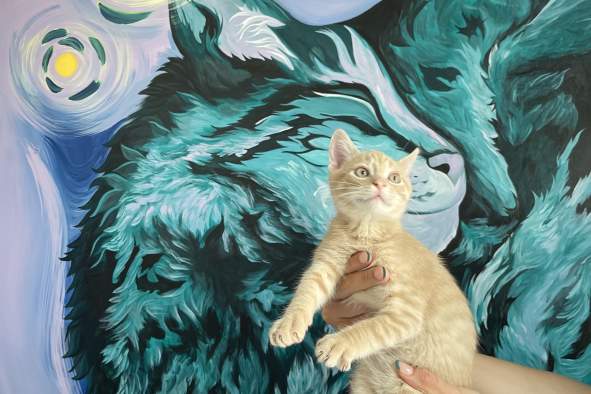 Moms & Tiny Toes Club