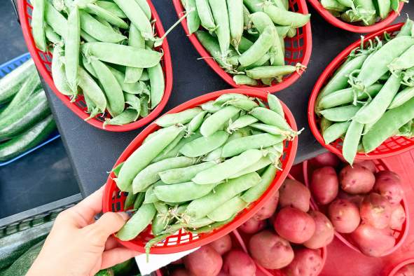 Arnott Outdoor Weekly Market