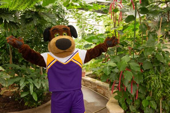 Accessibility Bingo hosted by UWSP GSA and DREAM