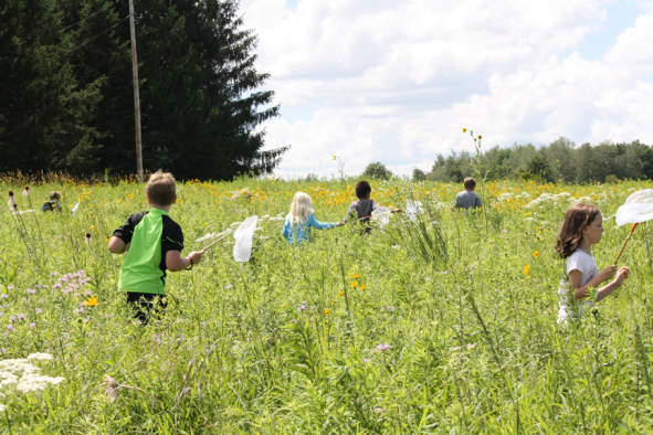Summer Fun at the Mead