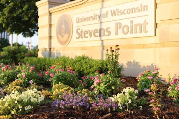 Artist Exhibition - Story Spun Slow