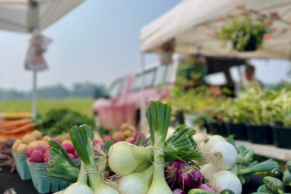 Sunday Funday: Farmers Market