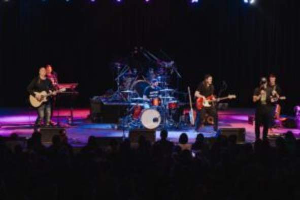 The Wannabes Live