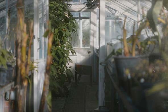 SPASH Greenhouse Sale