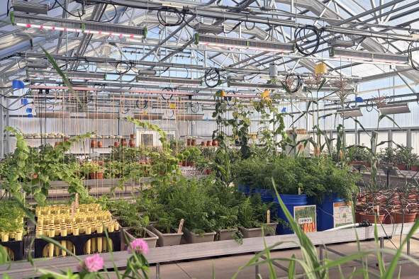 Root + Rise: Yoga in the Greenhouse