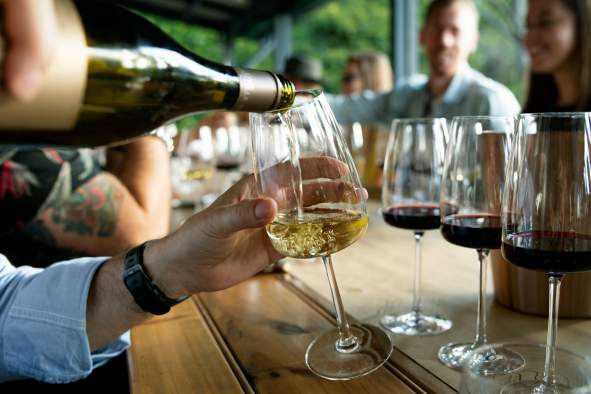 Introduction to White and Red Wines