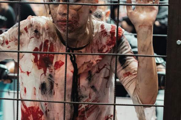 Downtown Zombie Walk