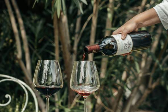 Italian Wine Tasting