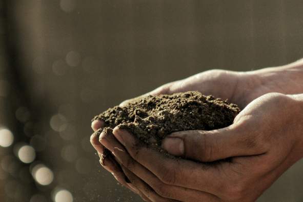 SoilSHOP