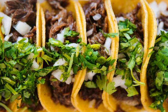 Chef's Nothing But Tacos Kitchen