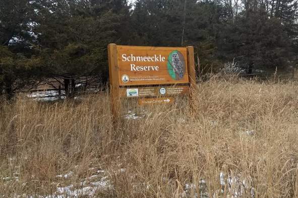 A Predator's Purpose