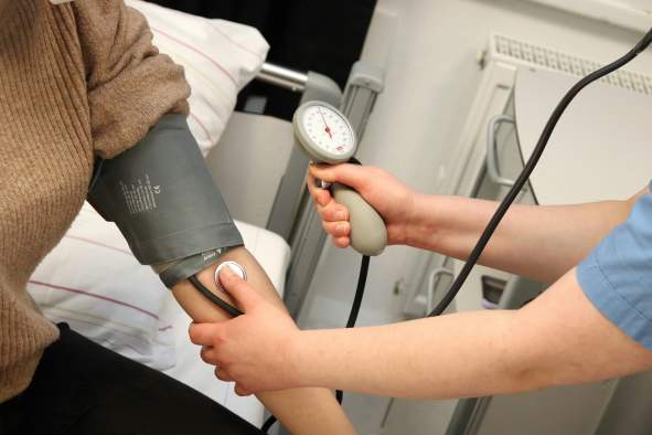 HealthQuest: Nursing Exploration Camp