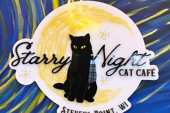 Creative Knots: Crochet and Knitting Class