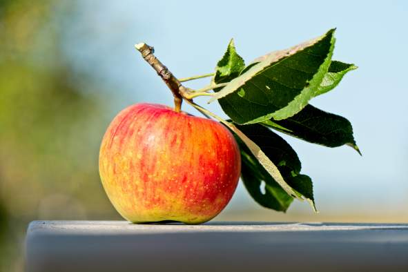 Apples for Awareness Fundraiser