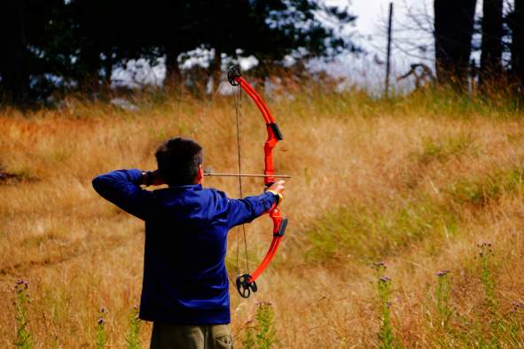 3D Bow Shoot