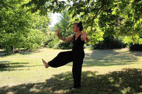 Tai Chi Class