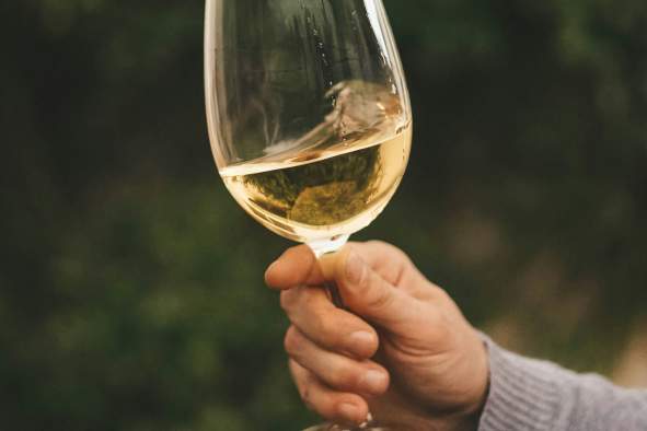 Unique White Wines of the World Class