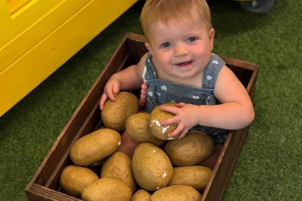 U-Pick Harvest Day- Tentative