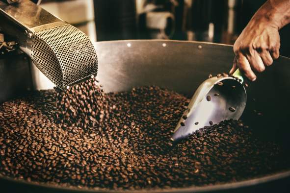 Roastery Tour