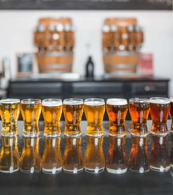 Draft beer in glasses lined up at Desperate Times Brewery