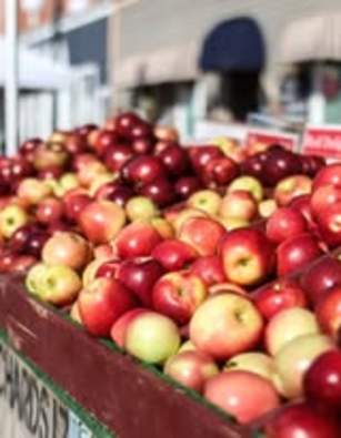Oak Harbor Apple Festival