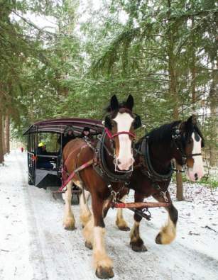 Horse-drawn Sleigh Rides and Trolley Rides at Spiegel Grove 2026