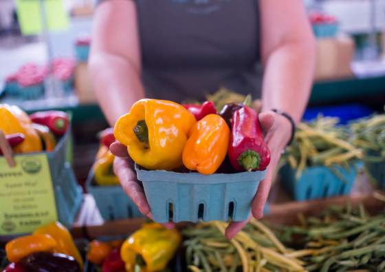 Top Farmers Markets in York County, PA