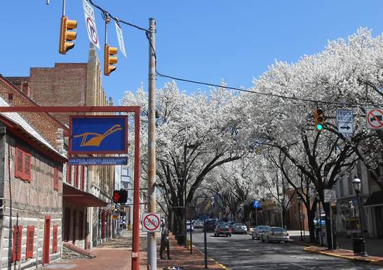 Signs of Spring Around York County
