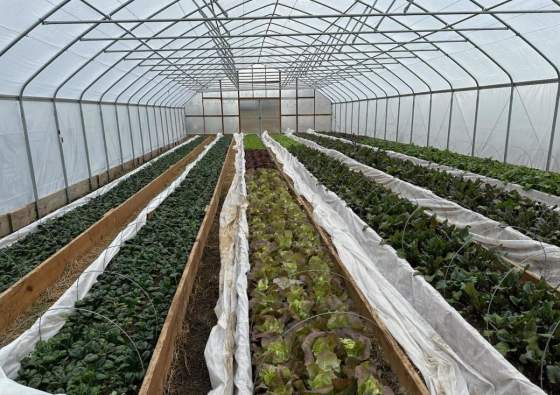 Sustainable Businesses in York County, PA