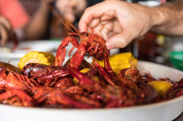 Best Boiled Crawfish in New Orleans