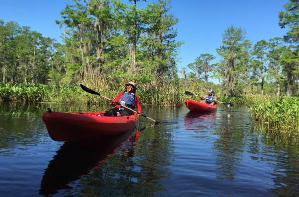 A New Orleans Kayak Swamp Tour