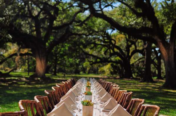 New Orleans City Park