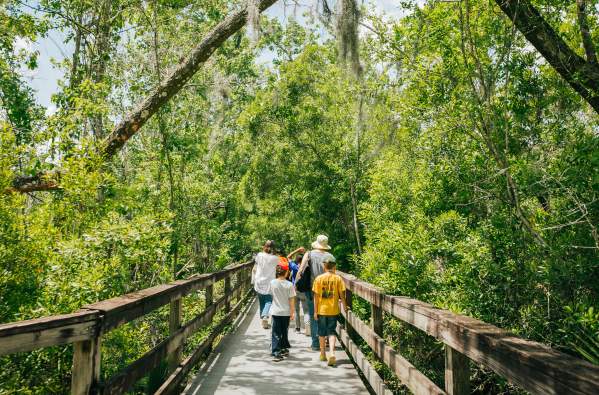 Jean Lafitte National Historic Park