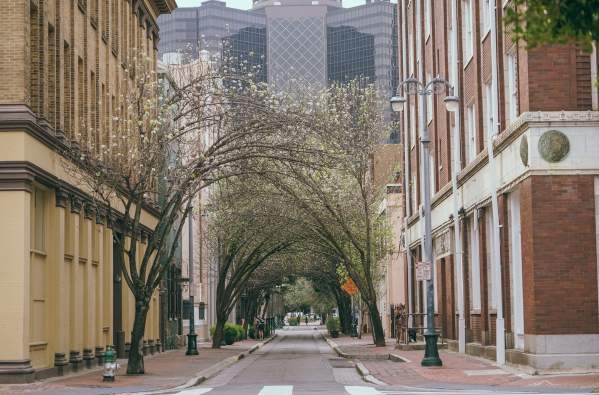 Lafayette Street & Baronne Street - Downtown - CBD - Springtime