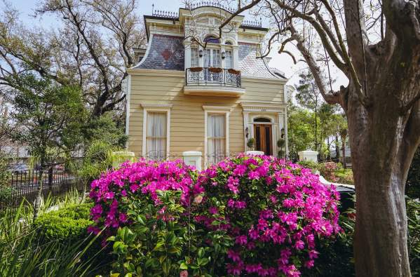 Esplanade Ave & North Dorgenois - Springtime Architecture - Azaleas
