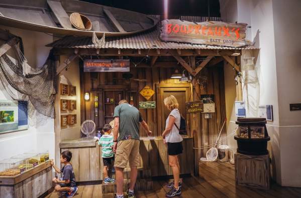 Audubon Insectarium