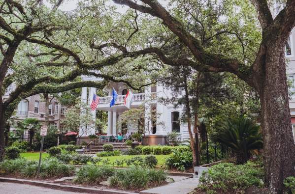 Confederacy of Dunces Inspired Photos - "Patrolman Mancuso inhaled the moldy scent of oaks and thought, in a romantic aside, that St. Charles Avenue must be the loveliest place in the world."