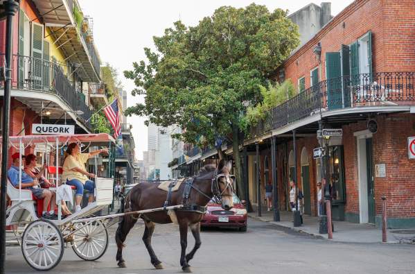 French Quarter Mule and Buggy