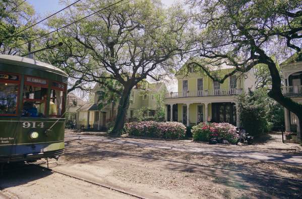Streetcar - Uptown Spring Color - Azaleas - St. Charles Avenue