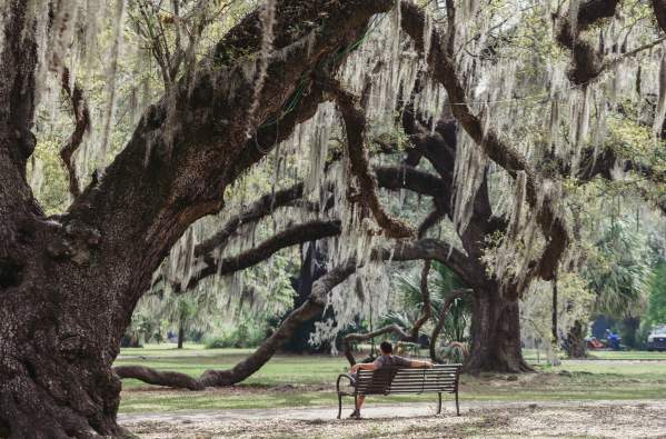 City Park