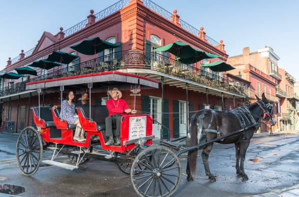 Horse and Carriage Tour