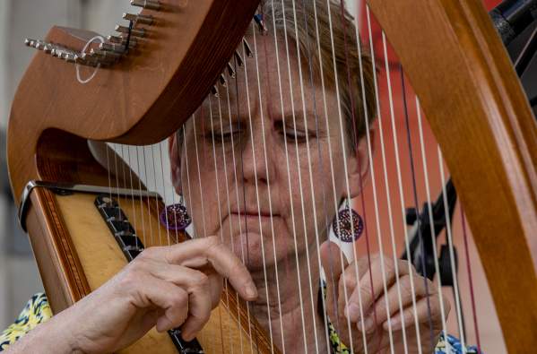 Patrice Fisher & Arpa