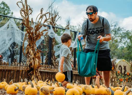 Pumpkin Hollow
