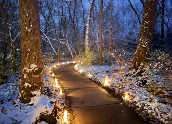 Luminary Walk