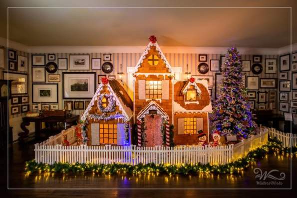 Omni Gingerbread