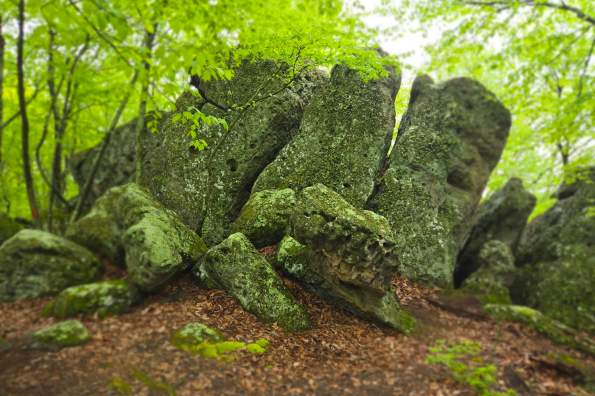 Rocks Nature Park