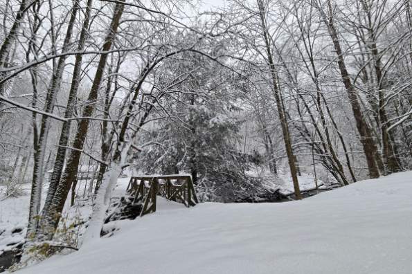 Blue Knob State Park Campground