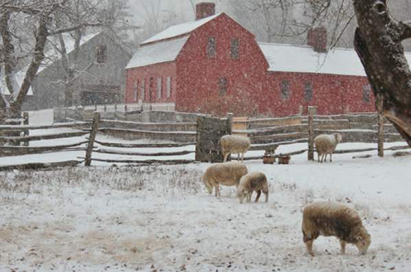 Spend a Snowy Day in Central MA